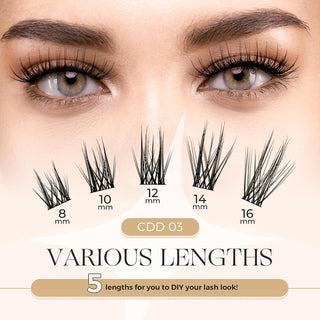 LASHVIEW Feather Fan Cluster Lashes CDD03